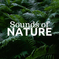 Natural Relaxation - Nature Sounds Associated Artists