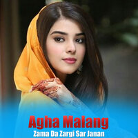 Zama Da Zargi Sar Janan - Agha Malang