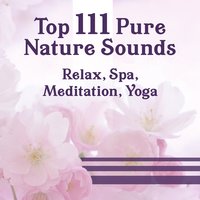 Revitalise - Deep Meditation Music Zone