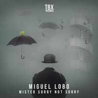 Mister Sorry Not Sorry - Miguel Lobo