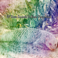 Calling Heavens - Rain Sounds For Sleep
