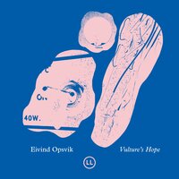 Vulture's Hope - Eivind Opsvik
