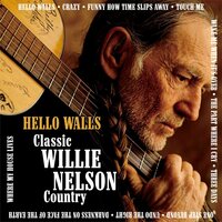Wake Me When It's Over - Willie Nelson
