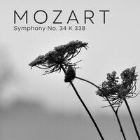 Symphony No. 34 K 338 (Allegro Vivace) - Schola Camerata & Вольфганг Амадей Моцарт