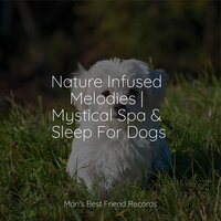 Calm Ocean Waves - Calm Doggy & Music for Dogs Peace & Sleeping Music For Dogs