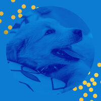 Calm Backdrops for Doggy Naptime - Relaxing Dog Music