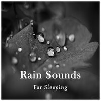 Rain Sounds for Sleeping, Pt. 36 - Cascada de Lluvia & Ruído branco & White Noise Team by Beneluxa