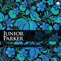 Dirty Friend Blues - Junior Parker