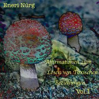 Kapitel 9 - Lösen von Toxischen Beziehungen - Eneri Nürg