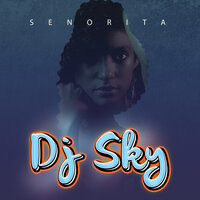 Senorita - DJ Sky