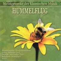 Slawische Tänze, Op. 46, B. 83: No. 8, Furiant. Presto - Wiener Symphoniker & Yuri Ahronovitch & Антонин Дворжак
