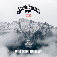 Song For Our Ancestors - Steve Miller Band