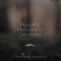 Spa Music - Calming Sounds & Pink Noise & Deep Sleep Music Experience