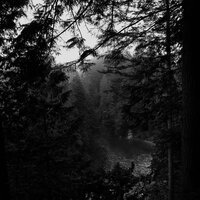 Black River - Motion