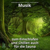 Hintergrundmusik zur Heilung - Entspannungsmusik Erik Lisen & Schlafmusik & Entspannungsmusik
