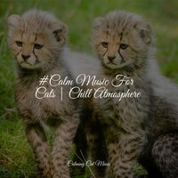 Ocean Waves - Jazz Music for Cats & Music For Cats Peace & Cat Music Therapy