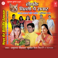 Kathi Kera Ho Birichhiya - Anuradha Paudwal & Sunil Chhaila Bihari & Kalpana