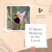 Neo-Tropical Central Park - Afternoon Recharge & Nature Sounds & Nature Recordings