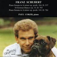 Piano Sonata No. 14 in A Minor, Posth. 143, D. 784: II. Andante - Paul Coker & Франц Шуберт
