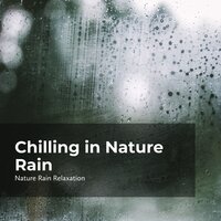 Cloudburst on Land - Rain Recorders & Rainfall & Nature Rain Relaxation