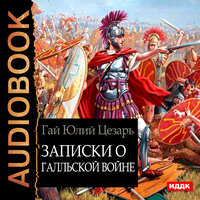 Цезарь Гай Юлий. «Записки о Галльской войне». Часть 33 - Шабров Дмитрий