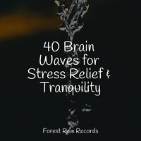 Forest Sounds (Birds) - Relaxing Mindfulness Meditation Relaxation Maestro & Classical Lullabies & Saludo al Sol Sonido Relajante