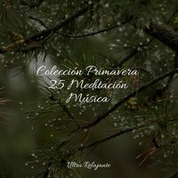 Sueño Sereno - Meditacionessa & Música para Dormir Con Relajantes Sonidos de la Naturaleza & Naturaleza Relajacion