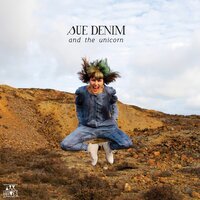 Bicycle - Sue Denim