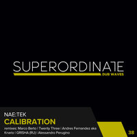 Calibration - Nae:Tek & GRISHA (RU)
