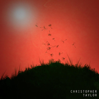 16 Wishes - Christopher Taylor