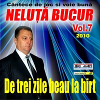 Brau Ca Pe Vlasca - Neluta Bucur