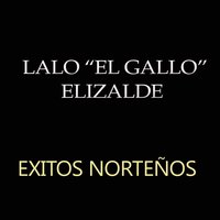 No Vuelvas Nunca - Lalo El Gallo Elizalde