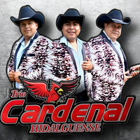 25 Rosas - Trio Cardenal Hidalguense