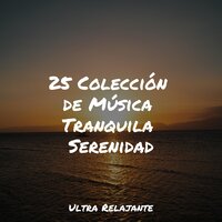 Música De Terapia De Fondo - Canciones de Cuna Relax & Dulces Sueños & Sonidos De Truenos y Lluvia