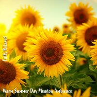 Warm Summer Day Meadow Ambience, Pt. 4 - Steve Brassel