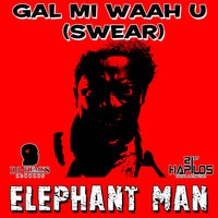 Gal Mi Waah U (Swear) - Elephant man