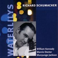 Turbulence Forecast - Richard Schumacher