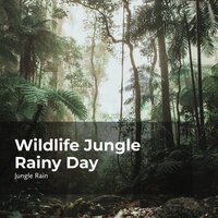 Rainy Day Jungle Birds - Nature and Rain & Deep Rain Sampling & Jungle Rain