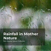 Paradise Fall of Rain - ASMR Rain Sounds & Rain Sounds Nature Collection & Sleepy Rain