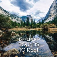 Fulfilling Dreams (Zen Dreams) - Restful Music Consort