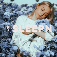 Gentle Shhh and Rain - SLEEPN & Dylan Barnes & Rob Davy & Mark Dowling