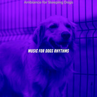 Vibrant Ambiance for Dogs - Music for Dogs Rhythms