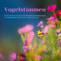 Gut Schlafen (Relax Musik) - Beruhigende Musik Akademie