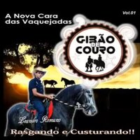 Beber sem fazer pausa - Gibão de Couro