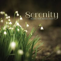 The Clearing - Michael Maxwell & Yuri Sazonoff
