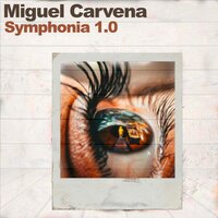 Secret Play - miguel carvena