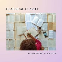 Zen Textbook Terrain - Study Music & Sounds