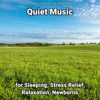 Quiet Music for Sleeping and Stress Relief Part 81 - Relaxing Music by Finjus Yanez & Yoga & Relaxing Spa Music