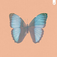 Wings - Cloudsurfin'