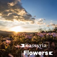 Flowers - KASSYRIA